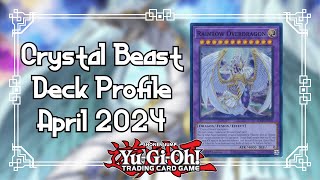 YuGiOh Crystal Beast Deck Profile April 2024 [upl. by Brucie]