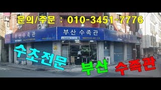 부산 최대 아쿠아 열대어 어항 수초전문점 부산수족관 釜山最大的Aqua热带鱼缸水族馆特产釜山水族馆 [upl. by Dickens]