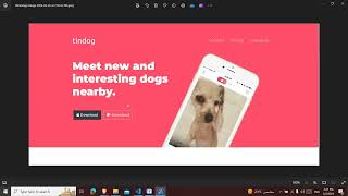 How to create Tindog website [upl. by Funda274]