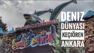 Deniz Dünyası  Keçiören  Ankara DenizDünyası Akvaryum Keçiören [upl. by Albrecht]