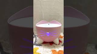 Catit Pixi Fountain unboxing asmr catitindia cat catlover catfilter catshorts catsofyoutube [upl. by Esoranna]