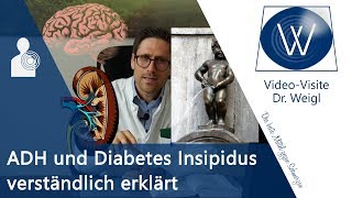 Ständiger Harndrang❗Diabetes Insipidus⚡ Probleme Antidiuretisches Hormon ADH Vasopressin vs SIADH [upl. by Abdella]