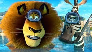 Madagascar Escape 2 Africa Clip IMDb [upl. by Elman]