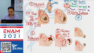 TEORIA I  OBSTETRICIA [upl. by Katzman]