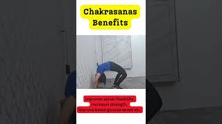 Standing Chakrasana for beginners  खड़े होकर चक्रासन का तरीका shorts ytshorts Dr Lavee [upl. by Asilrak]