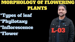 morphologyoffloweringplants L03Types of leaf Phyllotaxy inflorescence flowers [upl. by Johppa]