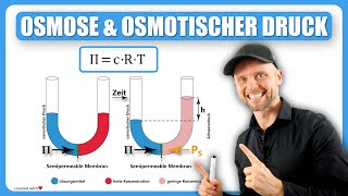 Osmose und Osmotischer Druck [upl. by Zimmer]