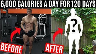 I ate 6000 CALORIES A DAY for 120 DAYS and this is what happened [upl. by Adnilasor]