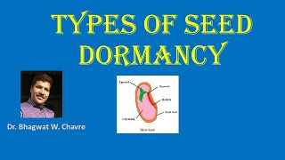 Types Of Seed Dormancy [upl. by Sillyhp]