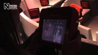 Augmented Reality at the Natural History Museum London [upl. by Dickey413]