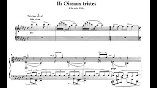 Ravel  Miroirs  II Oiseaux tristes SeongJin Cho [upl. by Aro]