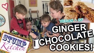 Chewy amp Delicious GINGER CHOCOLATE COOKIES Vegan  Gluten Free [upl. by Baptista]