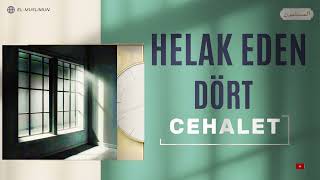 quot Helak eden 4 Cehalet quot [upl. by Kemeny]