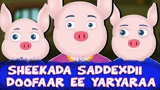 SHEEKADA SADDEXDII DOOFAAR EE YARYARAA  Sheeko caruureed  Three Little Pigs  Somali Moral Stories [upl. by Nnael]