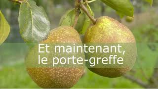 Comment greffer un arbre fruitier [upl. by Dhaf]