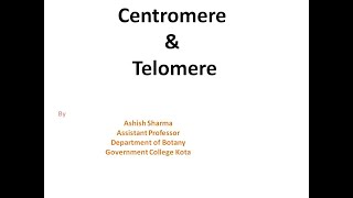 Centromere and Telomere for MSc semIII by ASHISH SHARMA [upl. by Bonar]