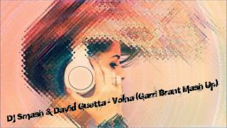 Dj Smash amp David Guetta  Volna Garri Brant Mash Up [upl. by Olumor313]