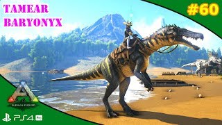 TAMEAR BARYONYX solo  ARK 60  Servidor Oficial PVE [upl. by Gairc330]