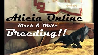 Alicia Online  Black Horse Breeding  Getting Whites FAILS [upl. by Stokes]