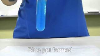 Copper II ion test [upl. by Ameluz231]