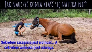 JAK NAUCZYĆ KONIA KŁAŚĆ SIĘ W SPOSÓB NATURALNY  Końskie sztuczki [upl. by Schild407]