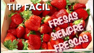 TIP PARA MANTENER LAS FRESAS FRESCAS Y SANAS COMO RECIÉN CORTADAS [upl. by Lewanna725]