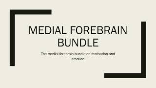 Medial forebrain bundle on motivation and emotion [upl. by Aniles]