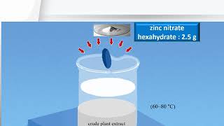 Green Synthesis of Zinc Oxide nanoparticles [upl. by Silletram]