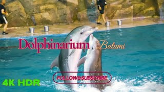 DOLPHINARIUM 🐬🎪  Batumi Georgia 4K HDR dolphin dolphinshow батуми [upl. by Eryt]