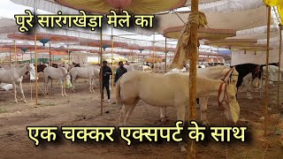 सारंगखेड़ा मेला के हाल एक ही वीडियो में एक्सपर्ट के साथ pt2  sarangkheda horse market in one video [upl. by Atihana]