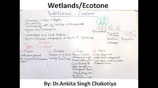 Wetlands types and their characteristics [upl. by Irved441]