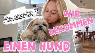 WIR BEKOMMEN EINEN HUND 🐶  MaVie Noelle [upl. by Clea248]