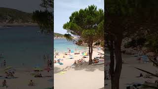 Ibiza Beach Walk Portinatx  Spanish Beaches shorts [upl. by Erkan]