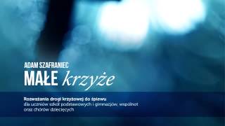 Adam Szafraniec  Mój przyjacielu  Stacja I rozważania drogi krzyżowej do śpiewu [upl. by Lasley]