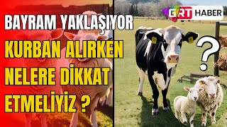 Kurban alırken nelere dikkat edilmeli [upl. by Annaihs456]