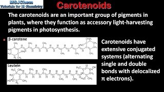 B9 Carotenoids HL [upl. by Eicnan470]