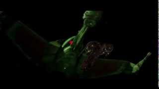 Klingon Bird of Prey cloaks Sound FX Star Trek TSFS and TVH [upl. by Alidia]