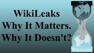 WikiLeaks the Internet and Democracy [upl. by Nosemyaj860]