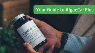 Your Guide to AlgaeCal Plus [upl. by Yuh]