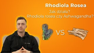 RHODIOLA ROSEA czy ASHWAGANDHA  Właściwości  Działanie  Wszystkie Suple Świata 18 [upl. by Imyaj]