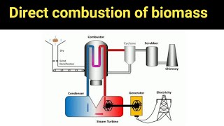 What is Biomass  Explained Biomass  UrduHindi [upl. by De Witt]