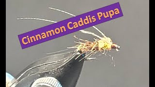 Cinnamon Caddis Pupa [upl. by Mccourt332]