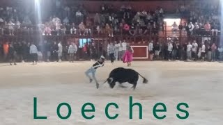 Encierro Loeches 2024 🏃🐂 3 Bravos Toros [upl. by Larred]