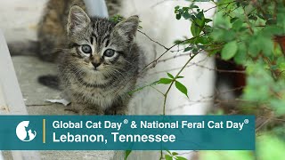 Cats Are Community™ in Lebanon Tennessee [upl. by Ribak]