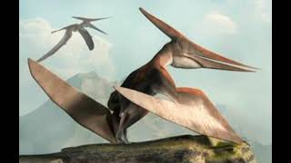 Pteranodon Sound Effects 🦖 🔊 [upl. by Adnawad]