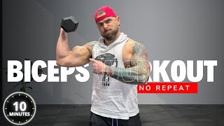 10 Minute Workout NO REPEAT Bicep Workout With Dumbbells BURNOUT works with light weights [upl. by Irby805]