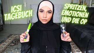 ICSI TAGEBUCH Hormone Spritzen Follikelpunktion Op  Kinderwunsch  SAIDA JAHED [upl. by Gnok]