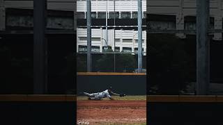 diving catch baseball infielder [upl. by Lanaj834]