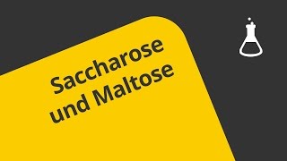 Saccharose und Maltose  Ein Einstieg  Chemie  Organische Chemie [upl. by Erich]