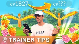 TESTING LEGENDARY TRICKS ✦ 100 CATCH RATE  CHANGE CP Pokémon GO Legendary Raids [upl. by Koah]